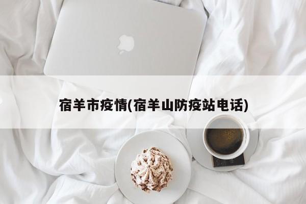 宿羊市疫情(宿羊山防疫站电话)