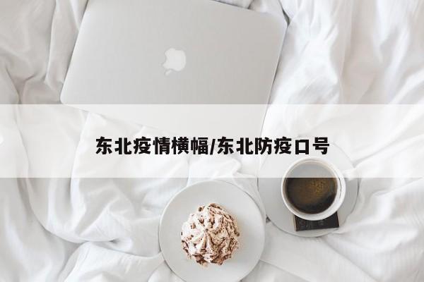 东北疫情横幅/东北防疫口号