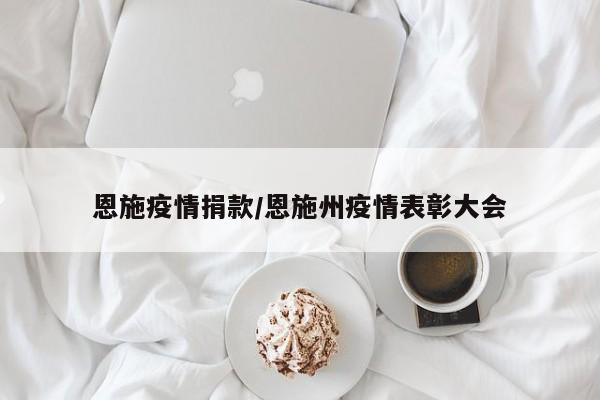 恩施疫情捐款/恩施州疫情表彰大会