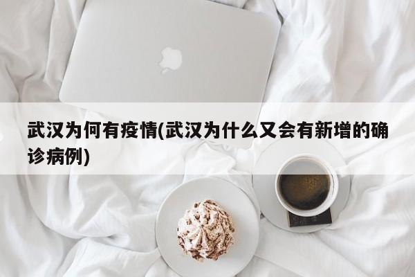 武汉为何有疫情(武汉为什么又会有新增的确诊病例)