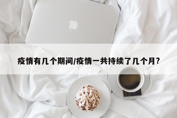 疫情有几个期间/疫情一共持续了几个月?